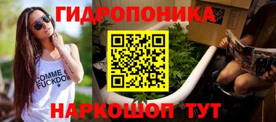 крисы Нарткала