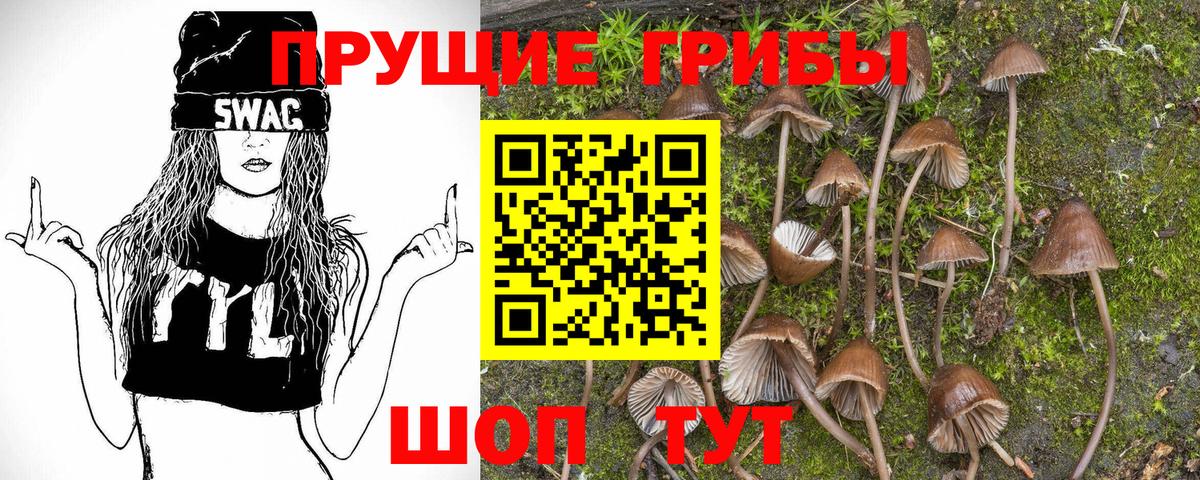 Галлюциногенные грибы Psilocybe  Псилоцибиновые грибы GOLDEN TEACHER  Вход с VPN  Тамбов 