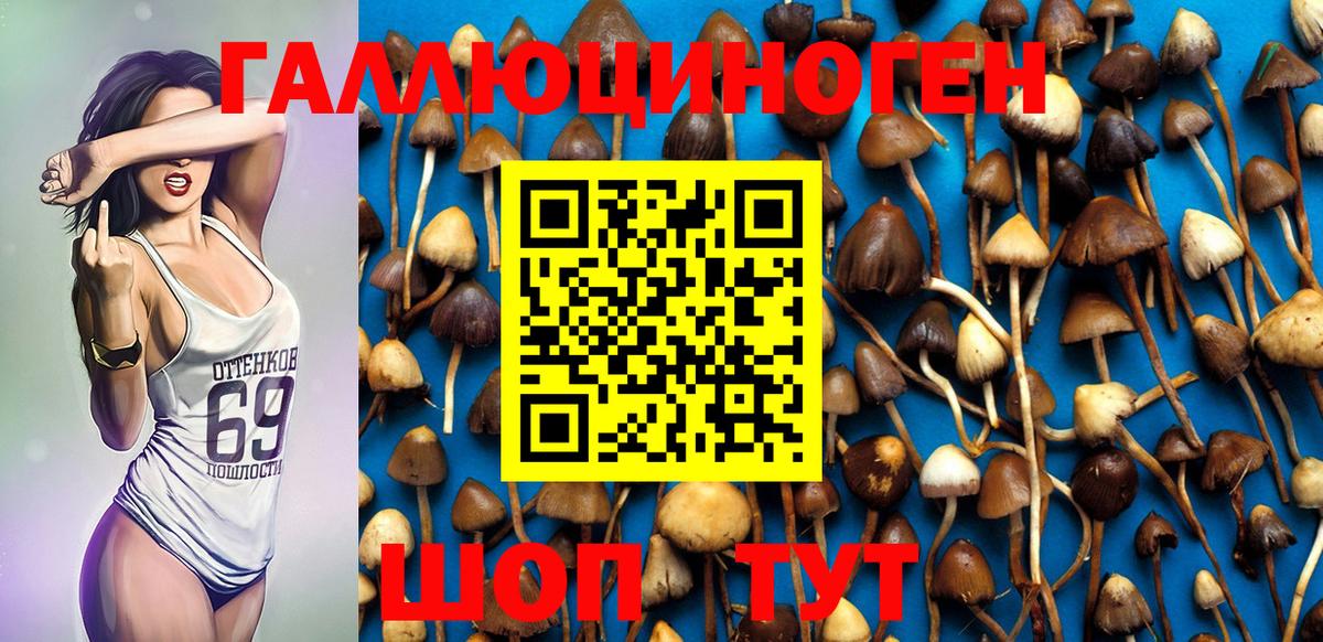 Галлюциногенные грибы GOLDEN TEACHER Тамбов
